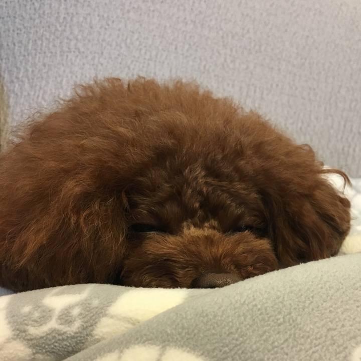 1ea6a305 bef6 4ade 9e73 a23fcde42443 1508046326614