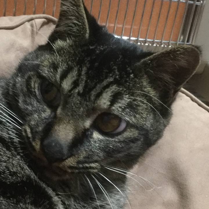 1ea6f2ca 8492 467f b2e8 701faa347d2d 1550304380276