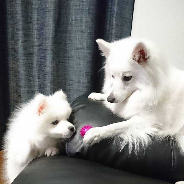 1ea6fb4d 3e28 45aa 90fb 55249aa2cd0c 1547038427536