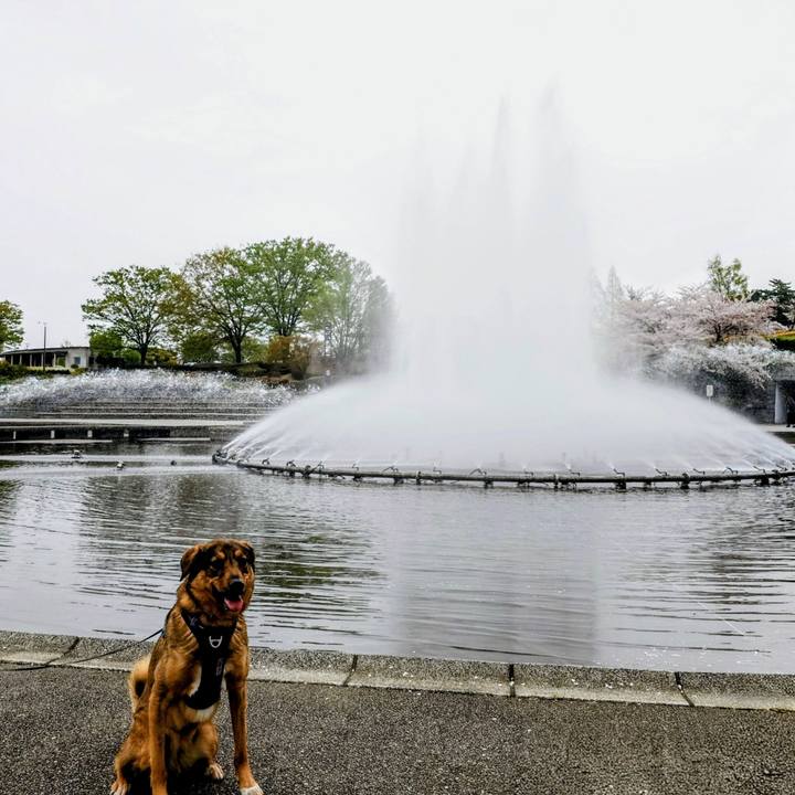 1ea7189f 496d 4d94 b8c2 7fa19517a1ca 1775270267312