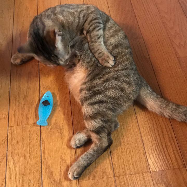 1ea71b89 96e0 4672 b1c8 3c1398fafb8a 1576379088058