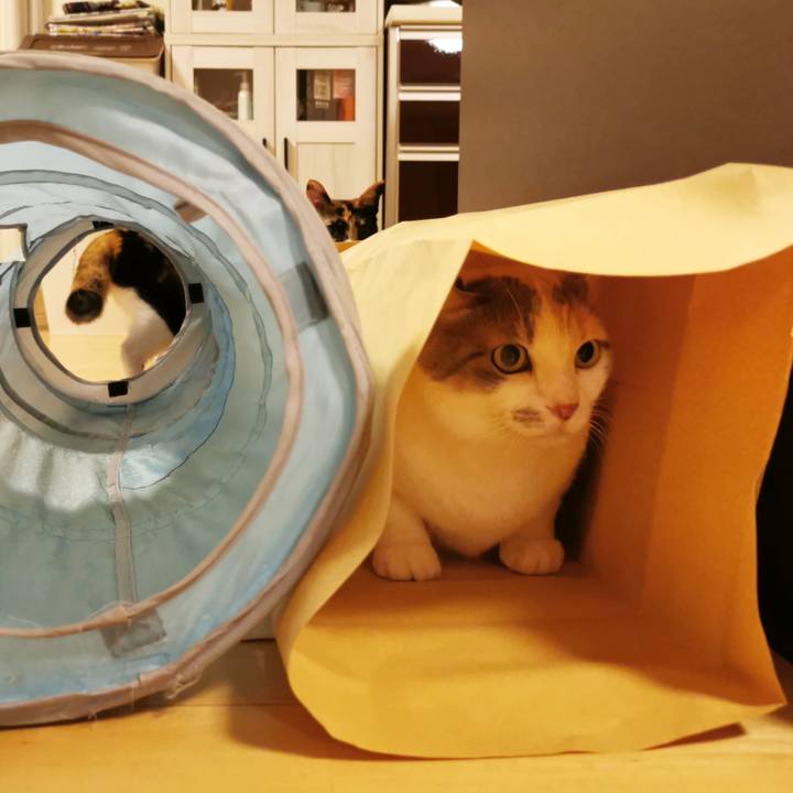 1ea71c85 97c0 4266 a5e1 bf29d085404f 1663303540550