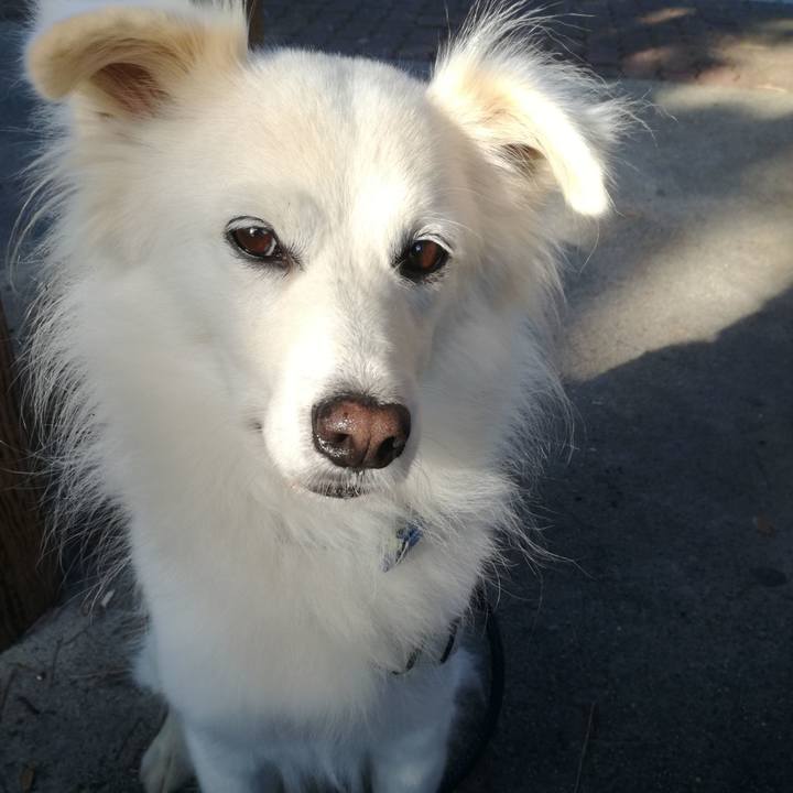 1ea728ec 49fd 41db 88e5 2c98b05d7c04 1539770893290