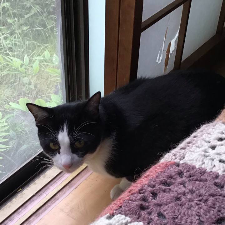 1ea743cf 19b7 49f3 9dc1 6f1eb9255dda 1652417176857