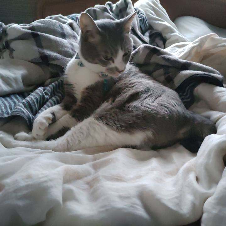 1ea758e2 1337 4b6c a427 da05a59b3674 1699828435101