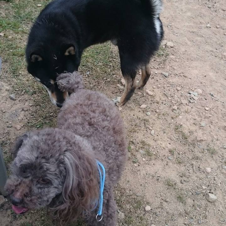 1ea76c4f b2fc 442d b593 d0c682b080dd 1529414658525