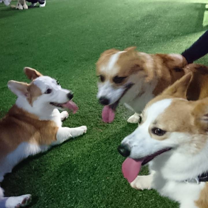 1ea77247 275a 47e1 9305 b0aec4febb9b 1593178802099