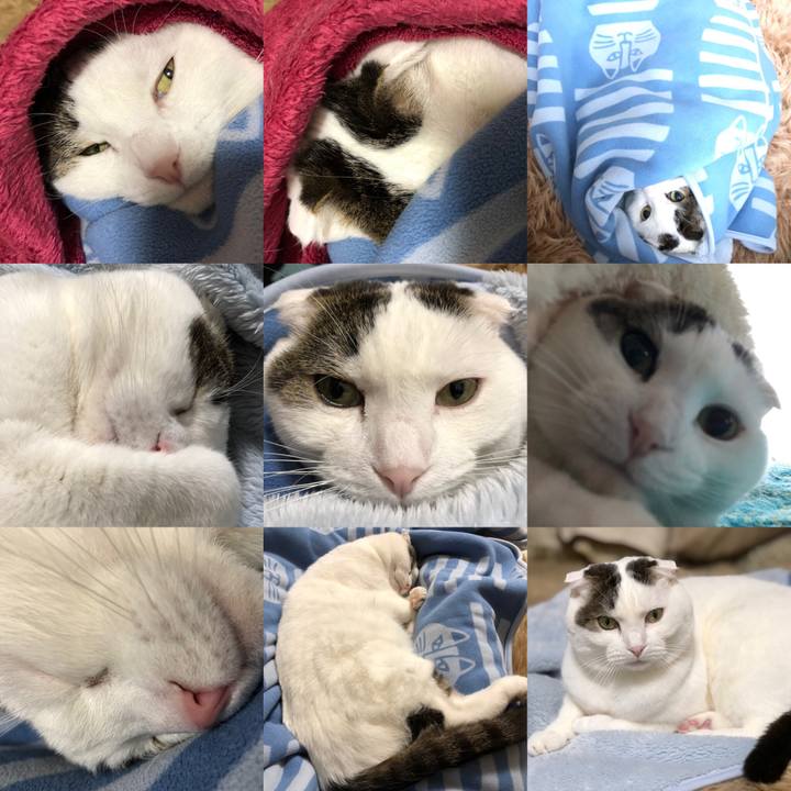 1ea7968d 38b7 468d ae22 3023ca5296e4 1547468784367