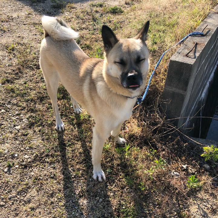 1ea7ad4c e689 40ba b394 4a259170bb1d 1527857124425