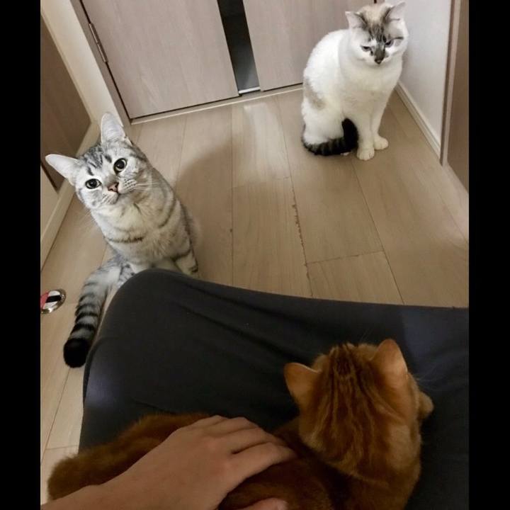 1ea7f1db 5640 4b64 b915 cb99f6233084 1514466464267