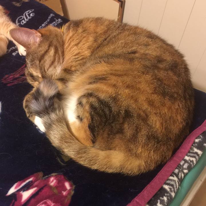 1ea7ff23 459b 486f bc05 3795d8e8cba1 1550398830019