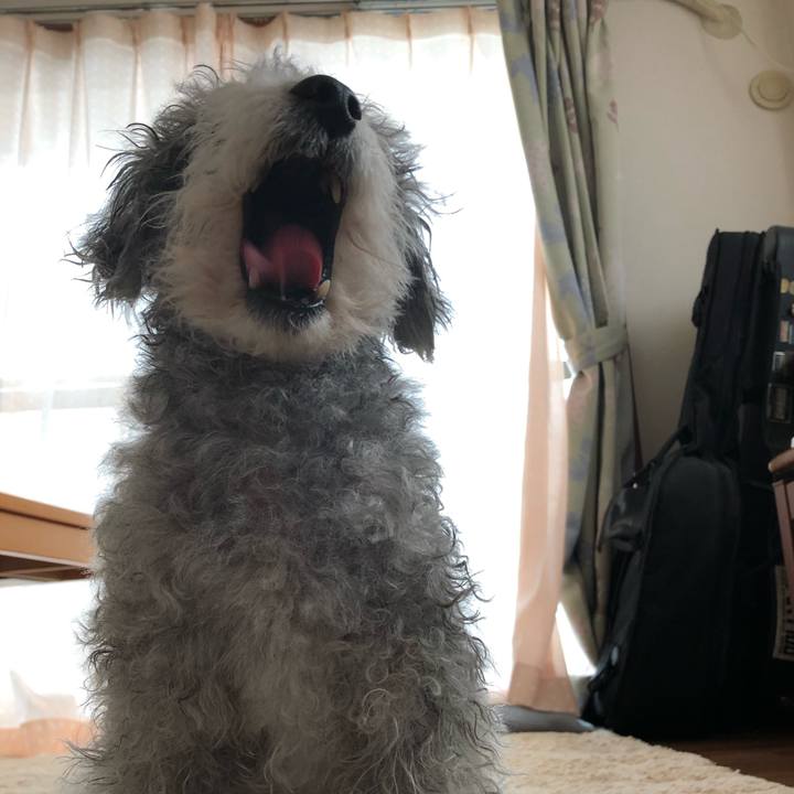 1ea80440 c59b 48de 90d1 ae07286da8b7 1556607018137