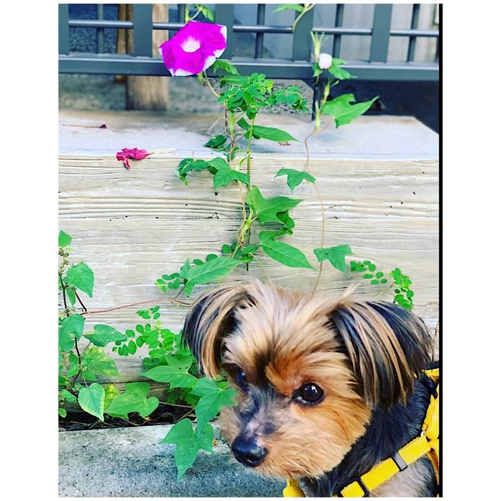 1ea8062a 05f0 4fa7 99f9 6a91277f7322 1632093177212