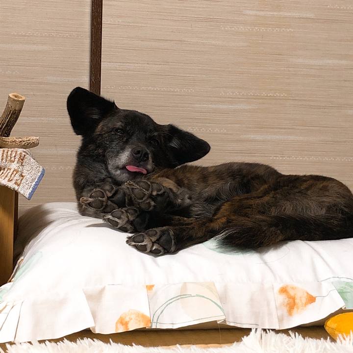 1ea82750 96ce 4f30 a672 2ca1c77f16d0 1581931336224