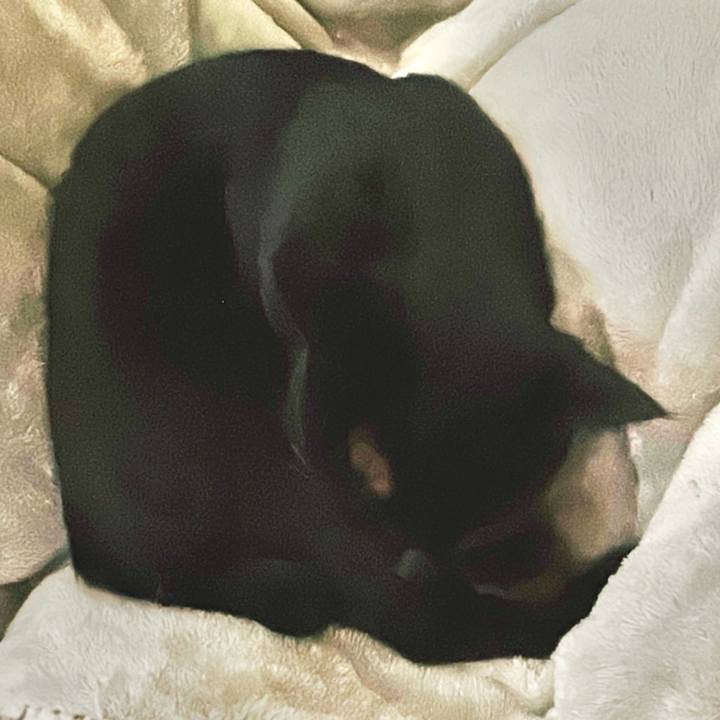 1ea87a07 fd72 4b15 803a b1ac9f97d687 1738479379090