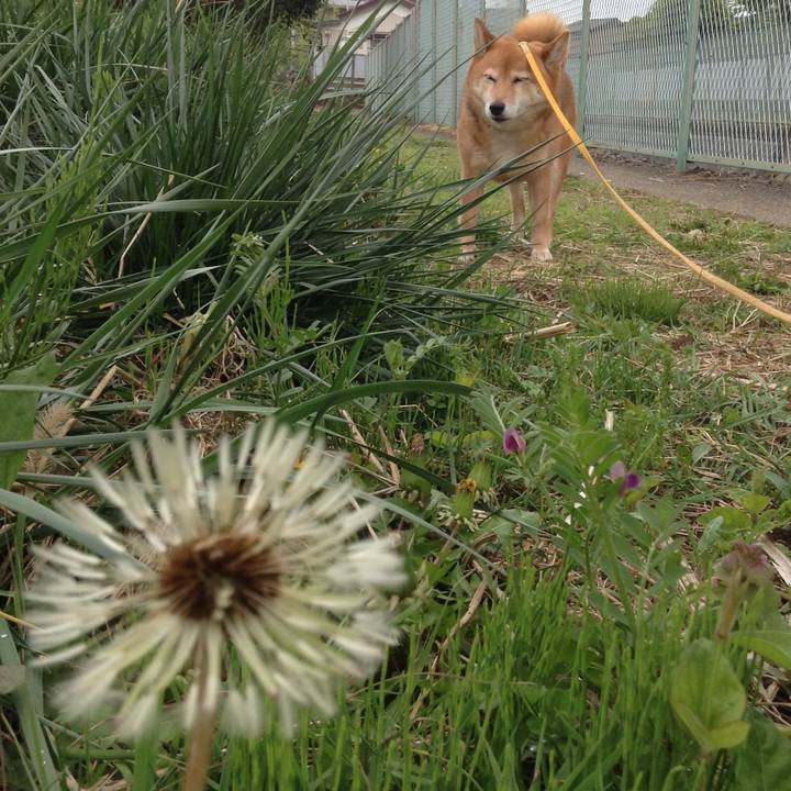 1ea88ea2 e756 4c95 a26b 055d75e2d1bf 1523763661778