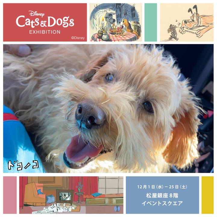 1ea89018 a8db 4143 97f1 75bcba526411 1638329713488