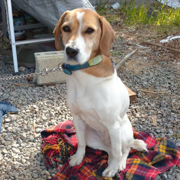 1ea8ae41 9b93 4d53 9f73 03a344e74372 1612930722708