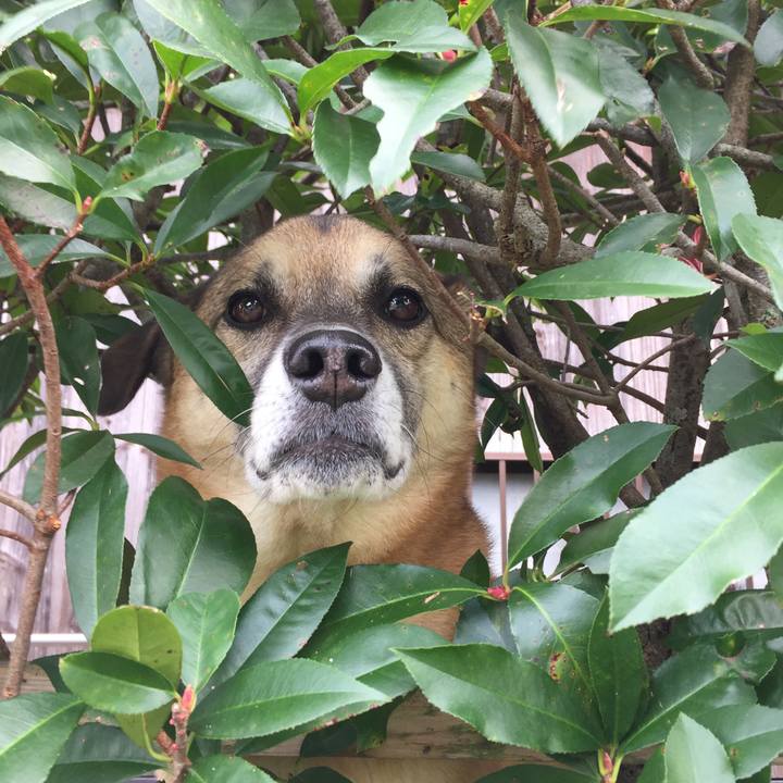 1ea8c593 299c 4637 bcfa 8d47f9d48307 1508758436902