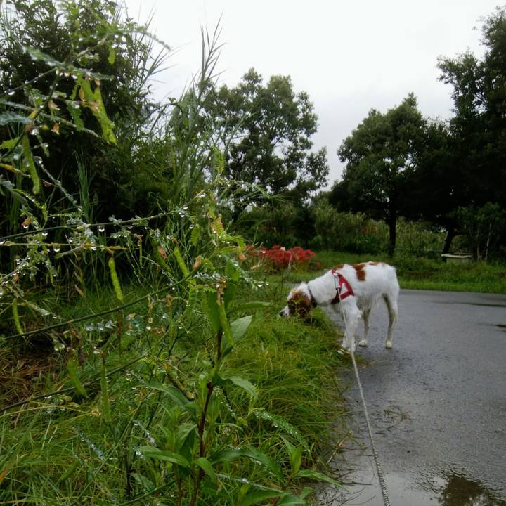 1ea8cc35 9124 4b78 b92a ad30b0b3265d 1537579772033