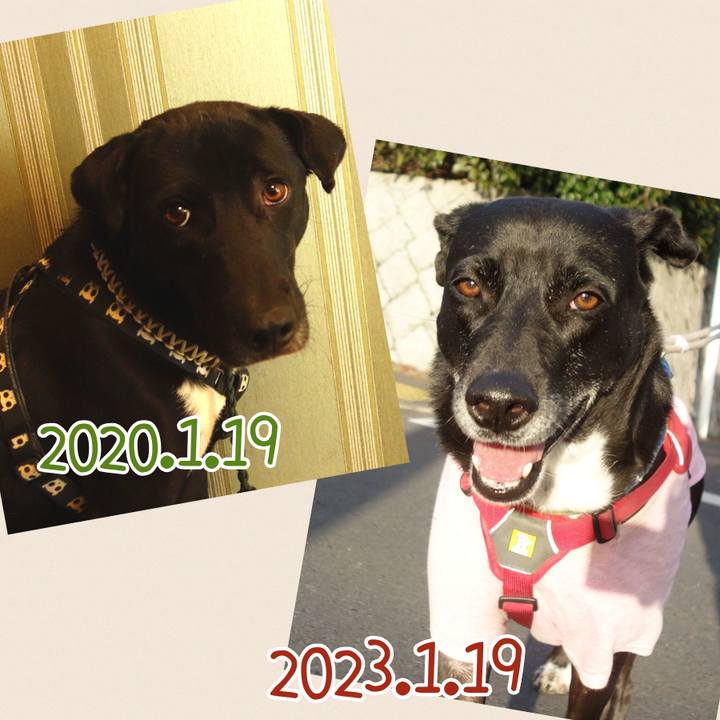 1ea8d4ef 935c 4527 ba7f a7ecbd68a943 1674089958168