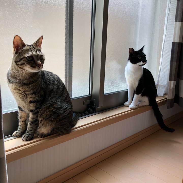 1ea90d1f 8d99 41dc a438 1958b95b1048 1531483753956