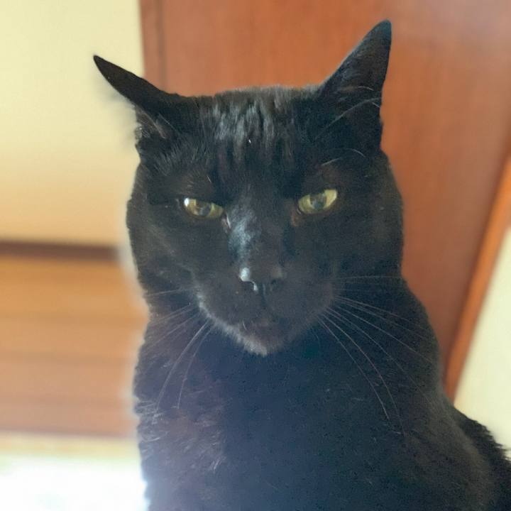 1ea95c6e a575 4cd6 880c e133b3ec02a2 1588470609995