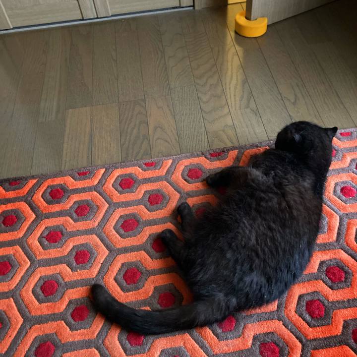 1ea9a61a 987b 4b7b 933a b66bd6964a8f 1614442640328