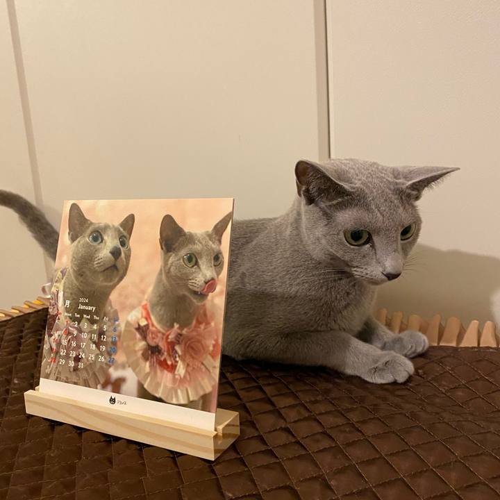 1ea9af7a 9217 4e38 bb40 3ca9ede7b848 1699603040789