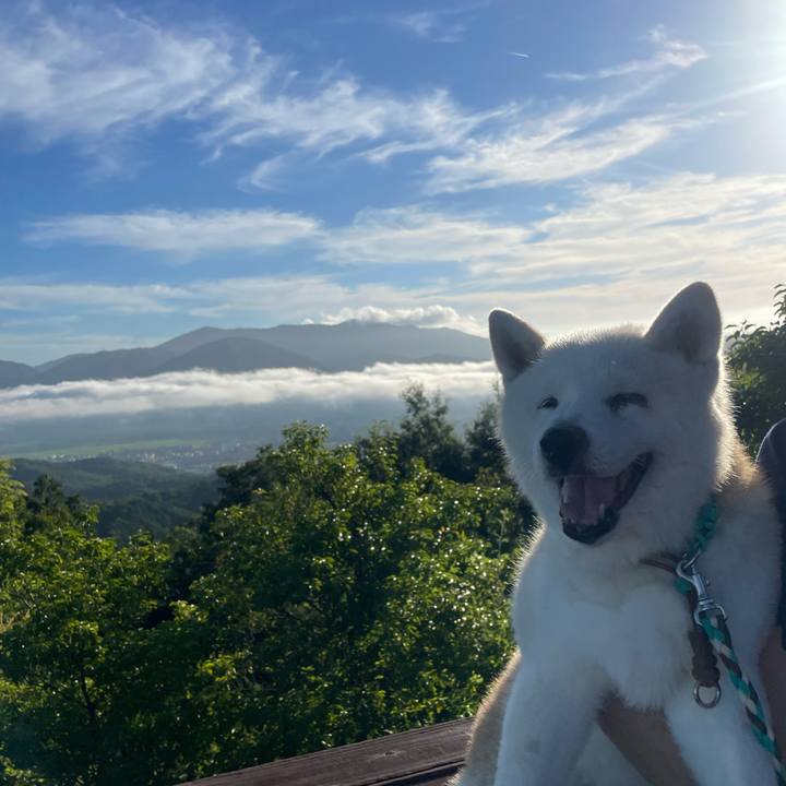 1ea9b404 82a4 40d6 b08d 5a20672afb1c 1753626088932