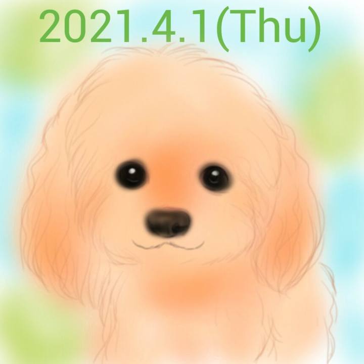1ea9f30d 10e8 40d0 9de6 aa4a55de5383 1617278027391