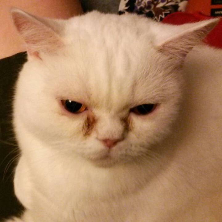 1eaa01ee ebb9 442f 95ed 30b135ab4802 1545397269516