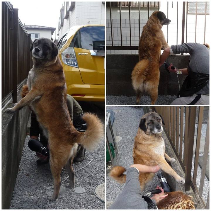 1eaa82b1 89ae 41f1 9a95 ba57664b4c87 1577664718839