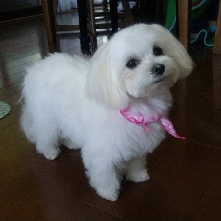 1eaa85ed f35e 47d3 b746 b3c60184a7e6 1762563623234