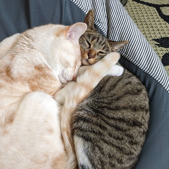 1eaa887c abe8 49db a8f7 e57bc3ce2587 1687499926769