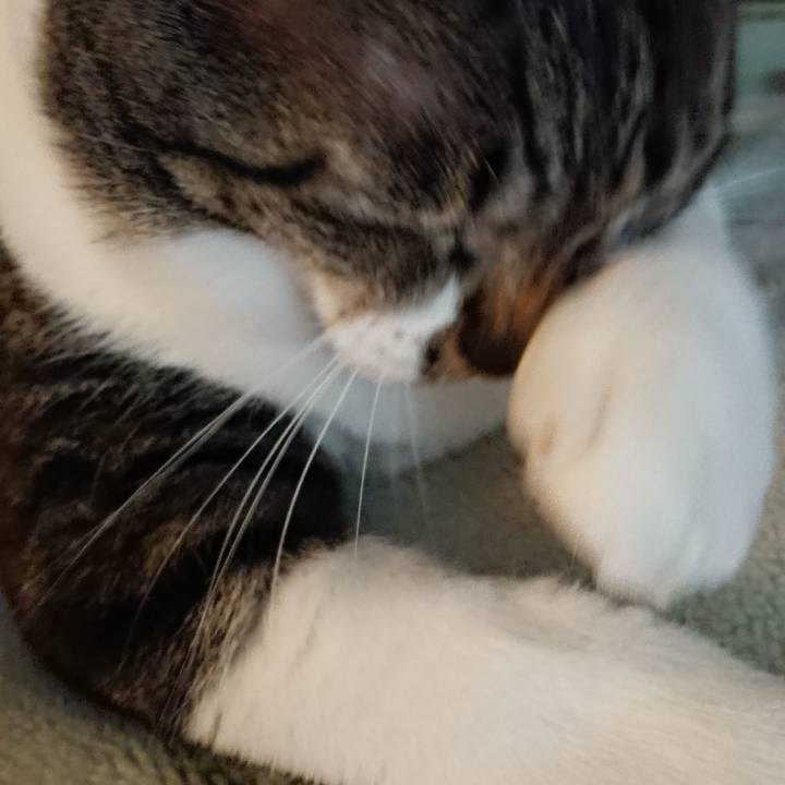 1eaa8f4e 23fb 427a b592 9d79e7fdf401 1522412699020