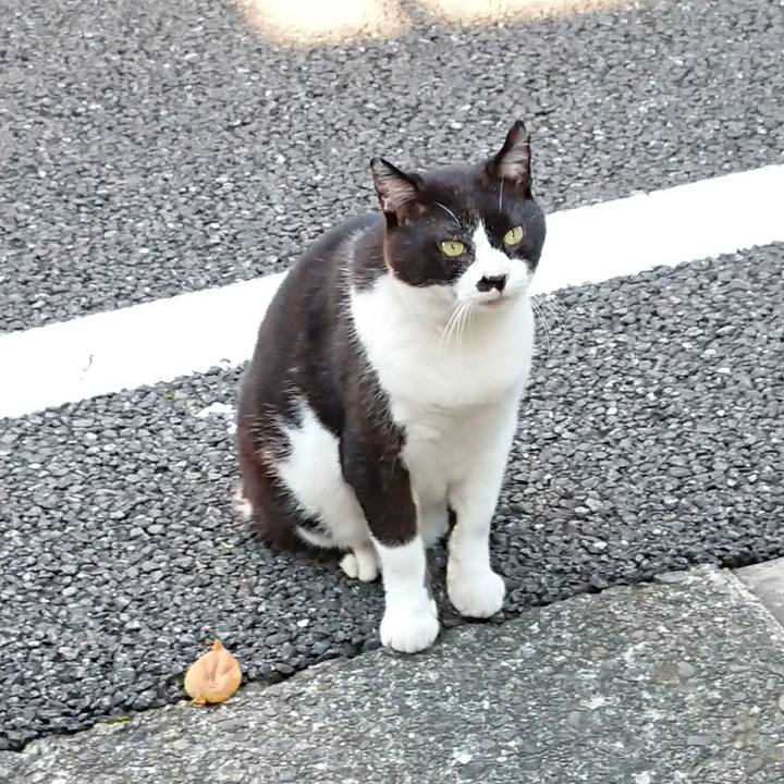 1eaa92e3 4920 407d 95ee 02e49118182b 1658113399683