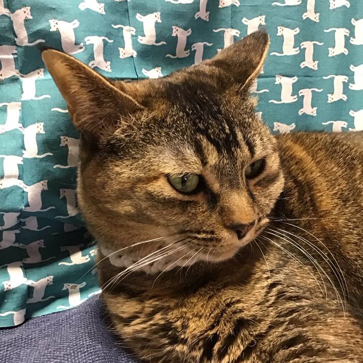 1eaa99ef 6680 4077 b8f8 d9200000b855 1740980912681