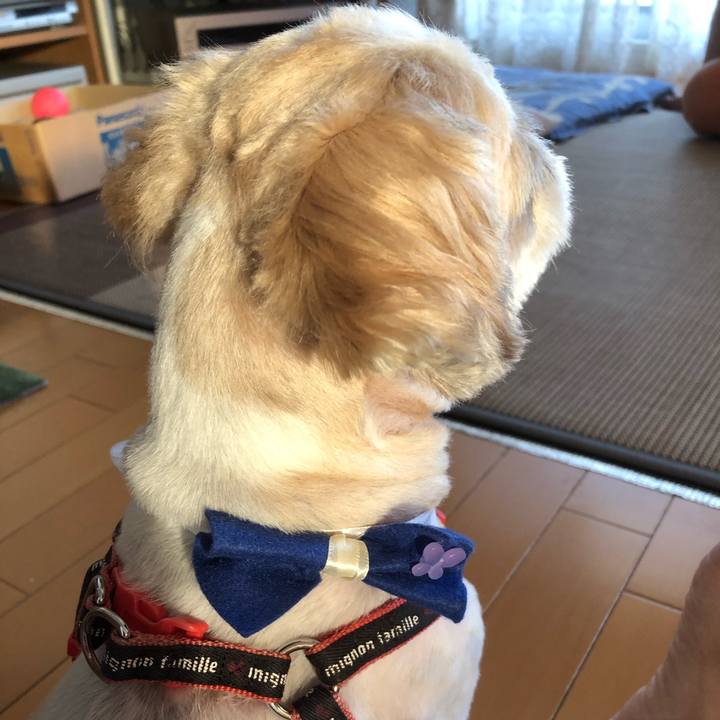 1eaa9b39 b35d 41e8 9761 1db322d95041 1591652450002