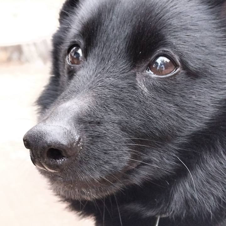 1eaadac0 4839 43b4 8add cb9d3366e7f7 1770454820839