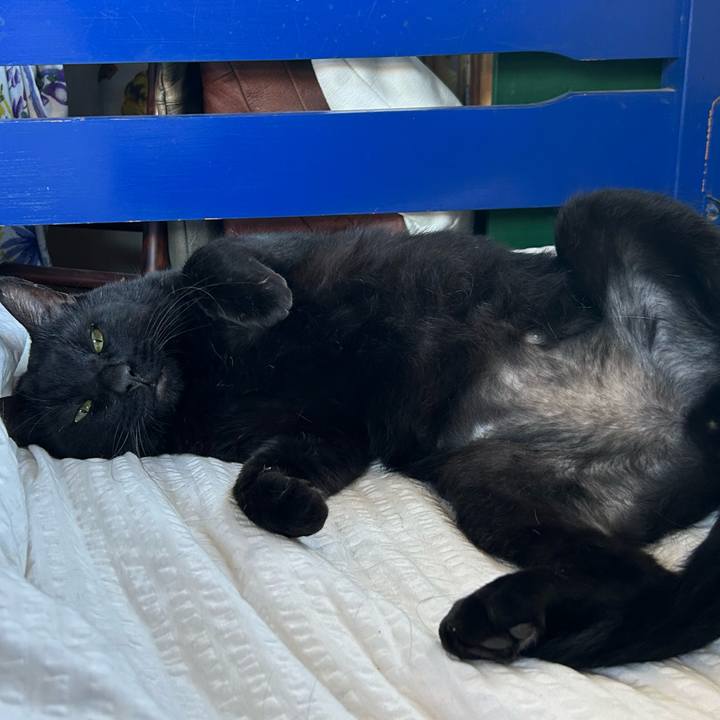 1eaadc2b 59e3 4b2e 8e89 c3a2d10bebe4 1760796197007