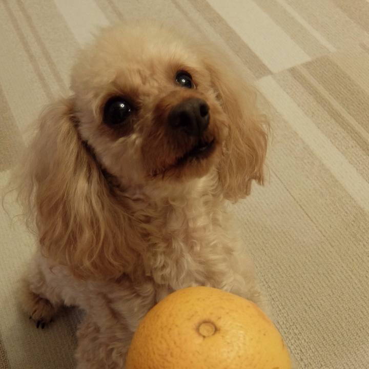 1eaae032 dd30 4a2e b3ff bd8ac6fd884f 1520508335425