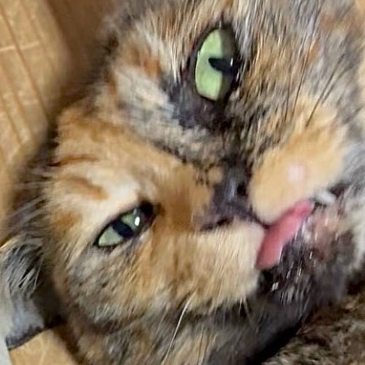 1eaaf69a f391 48fb 9163 6156616e07f8 1746563267348