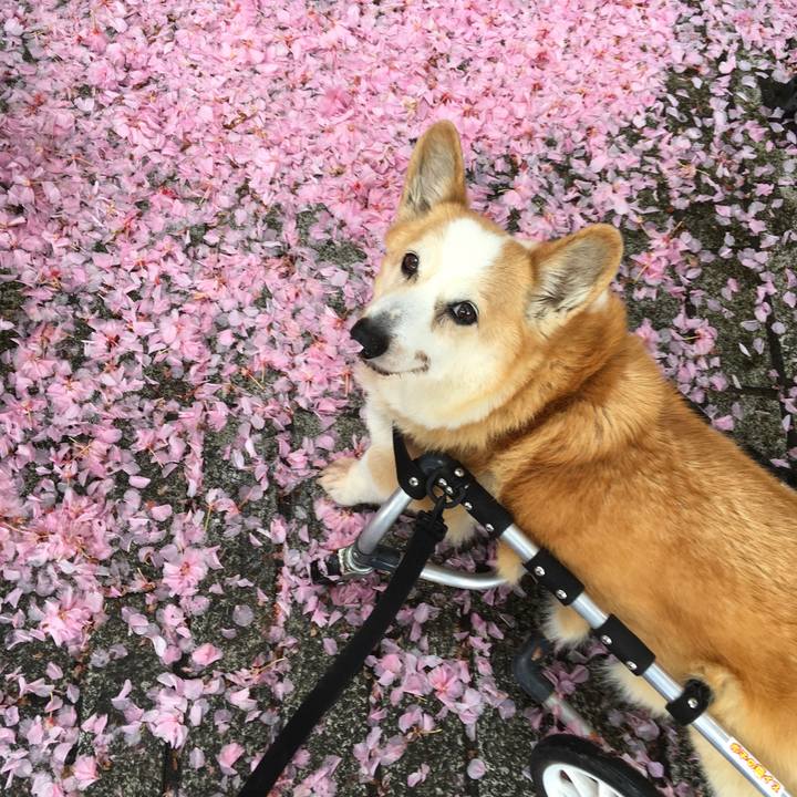 1eab0b63 516e 4628 ae99 457e2e77e2ed 1556153744731