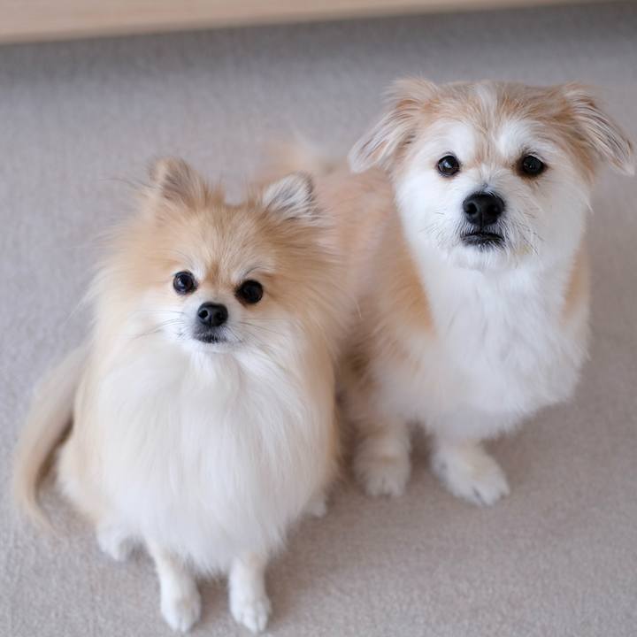 1eab17cd c0cd 4e68 8913 54ce1cace5b3 1774302384660