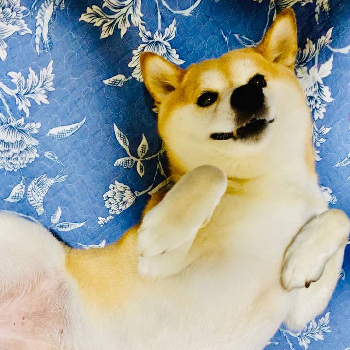 1eab2558 df5b 46ee a37e e80a01381a88 1594422767247