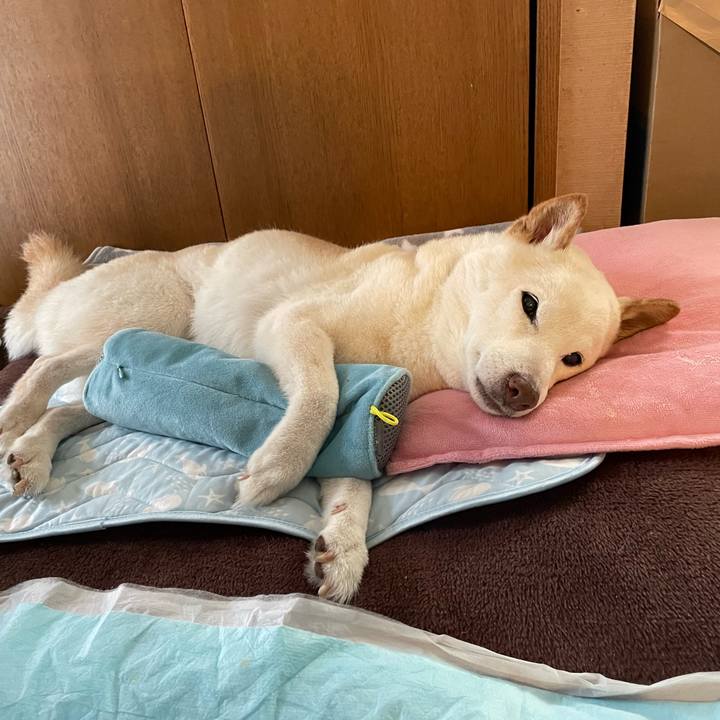 1eab523a 0d33 4d00 966c d113a35e55d2 1651069057690