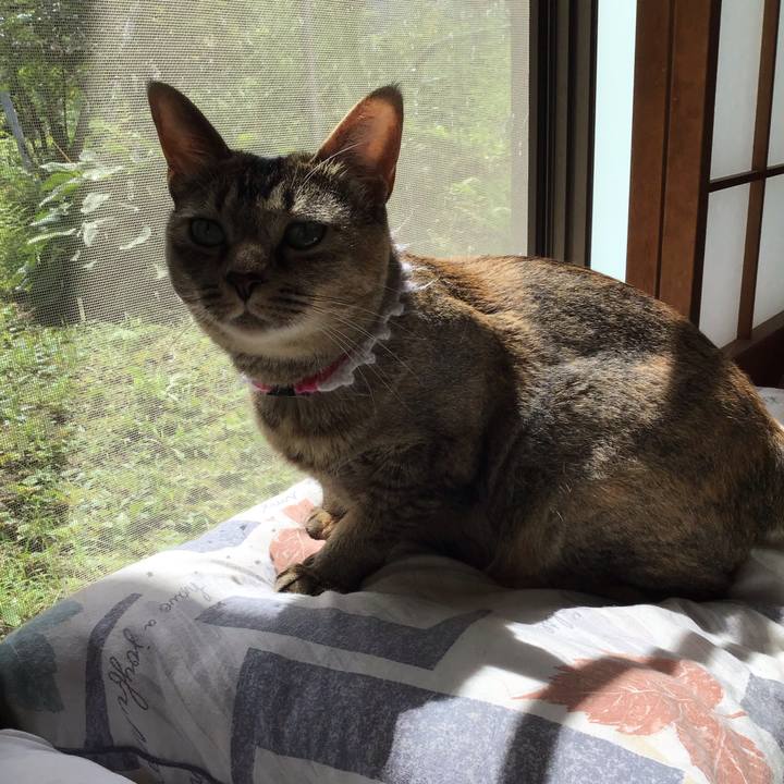 1eab78bd 5653 4719 9b7b d2af2e6fb37b 1595725137055