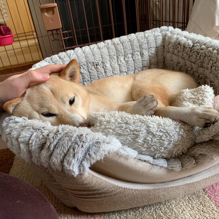 1eab8a62 be87 46bb aaad ea9816fb0f87 1641269943938