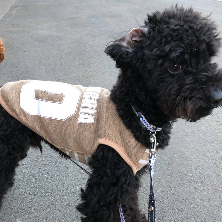 1eabc01c 7674 445f b31c 4d3a3dc86350 1520152927984